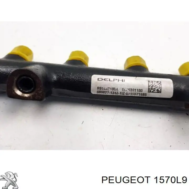 1570L9 Peugeot/Citroen Топливная рампа