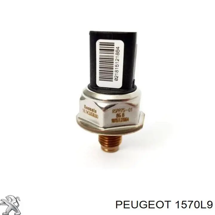 Купить 1570L9 Peugeot/Citroen Распределитель топлива (рампа)