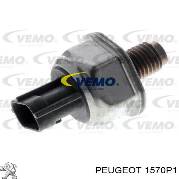 1570P1 Peugeot/Citroen distribuidor de combustível (rampa)