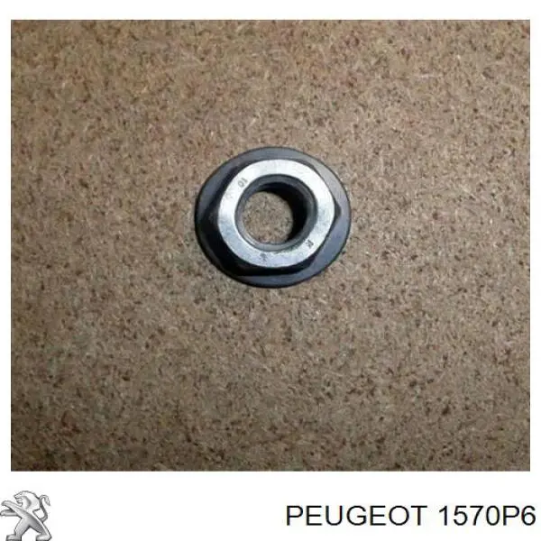  1570P6 Peugeot/Citroen