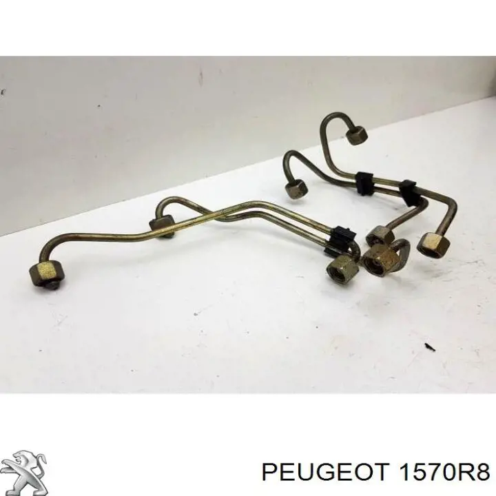  Fast FT39519 цена, от 81.79 USD