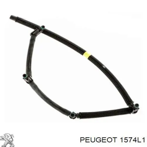 1574L1 Peugeot/Citroen tubo de combustível, inverso desde os injetores