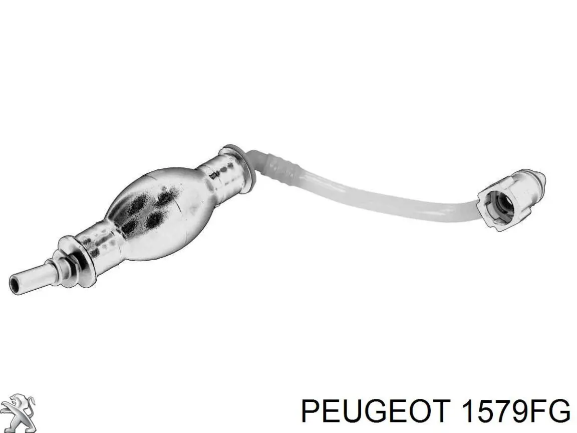 Tubo de combustible, de depósito al filtro 1579FG Peugeot/Citroen