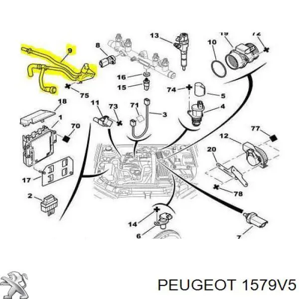 Трубка топливная обратная от фильтра к баку на Peugeot 307 SW 