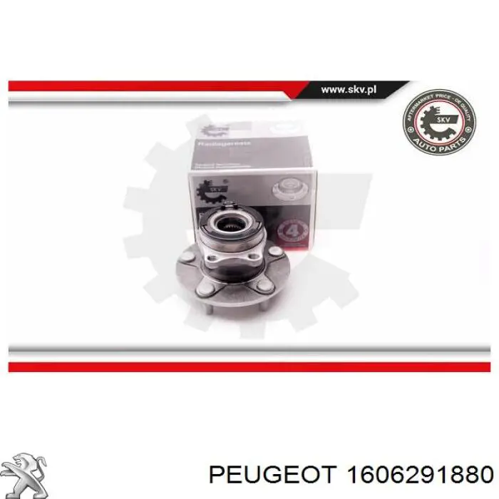1606291880 Peugeot/Citroen ступица задняя