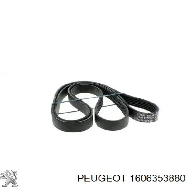 Клиновый ремень Peugeot/Citroen 1606353880 цена, от 13.79 USD