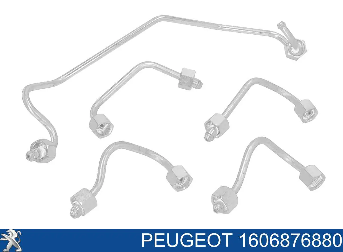 1606876880 Peugeot/Citroen трубка топливная, комплект