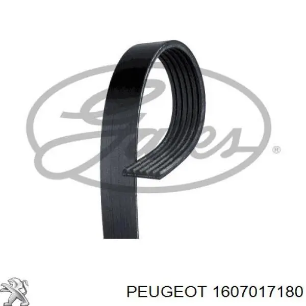 Клиновый ремень Peugeot/Citroen 1607017180 цена, от 24.87 USD