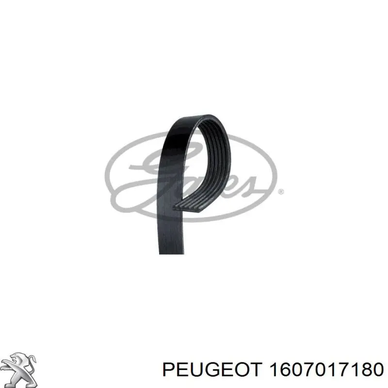 Купить 1607017180 Peugeot/Citroen Ремень генератора