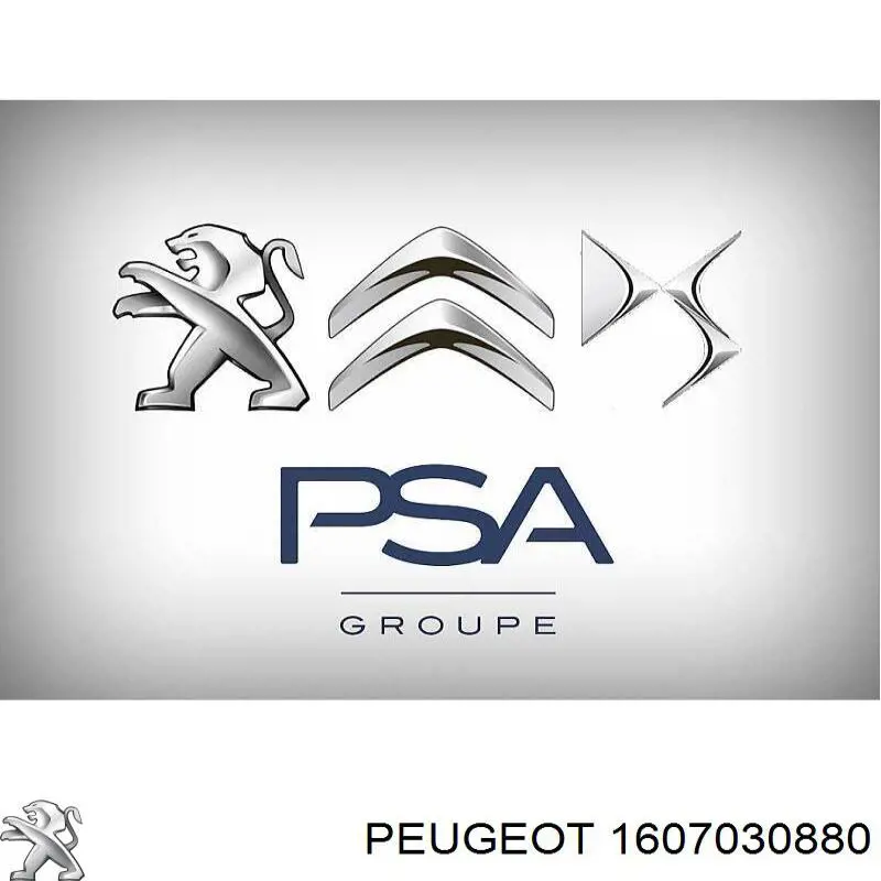 Зеркало заднего вида, левое Peugeot/Citroen 1607030880 цена, от 385.15 USD