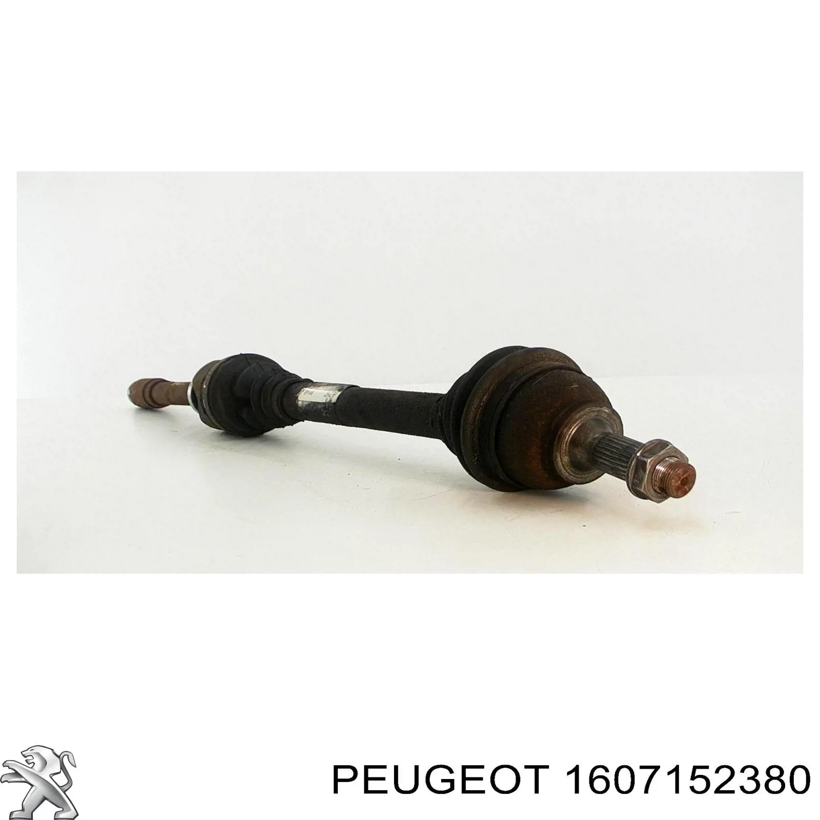 Купить 1610309080 Peugeot/Citroen Насос рулевого управления
