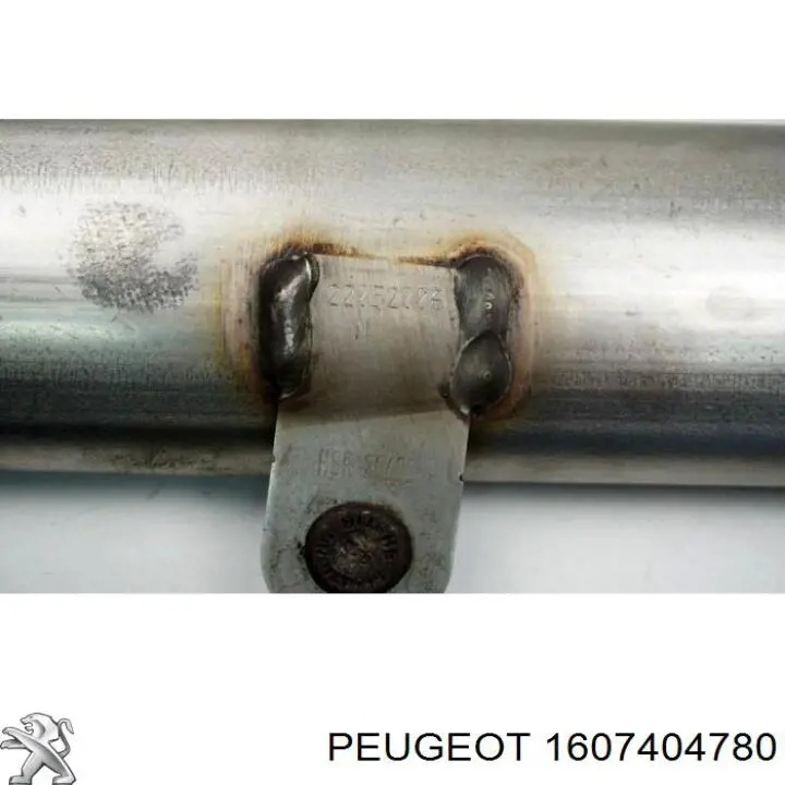  1607404780 Peugeot/Citroen