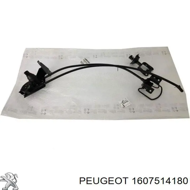 Тали подъема запасного колеса Peugeot/Citroen 1662233180 цена, от 168.38 USD