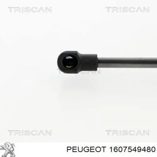 Amortiguador de maletero 1607549480 Peugeot/Citroen