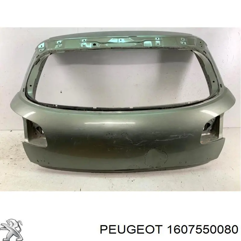 1607550080 Peugeot/Citroen 