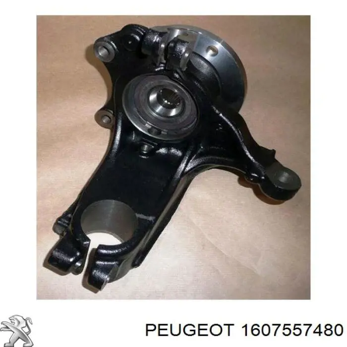 1607557480 Peugeot/Citroen цапфа (поворотный кулак передний левый)