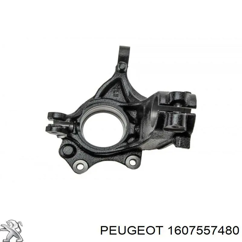 Цапфа передняя левая 364669 Peugeot/Citroen