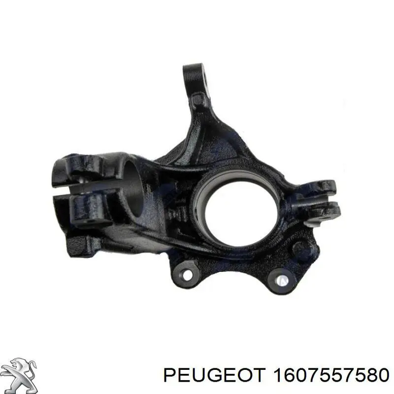 Цапфа (поворотный кулак) передний правый Polcar ZWPE005P цена, от 40.13 USD