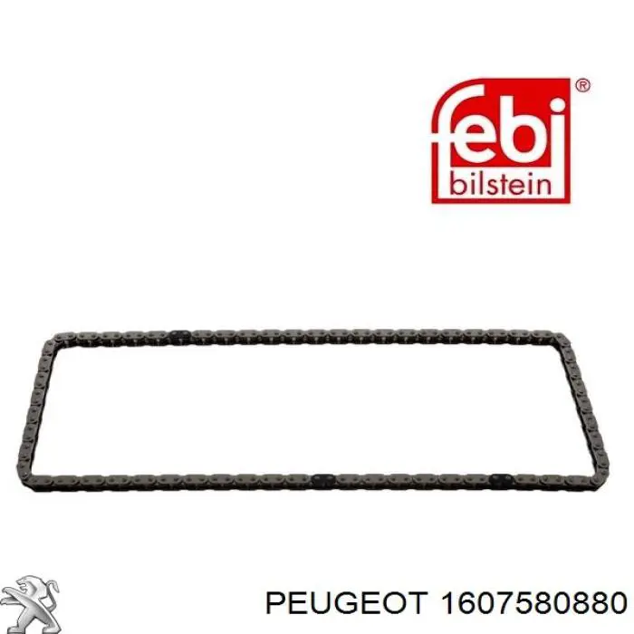 1607580880 Peugeot/Citroen cadeia do mecanismo de distribuição de gás, kit