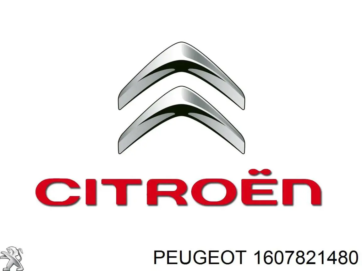 1623831380 Peugeot/Citroen 