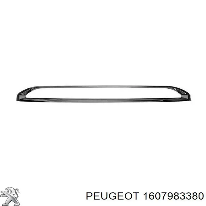 Moldura de parachoques delantero 1607983380 Peugeot/Citroen