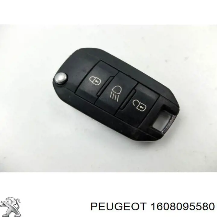  1608095580 Peugeot/Citroen