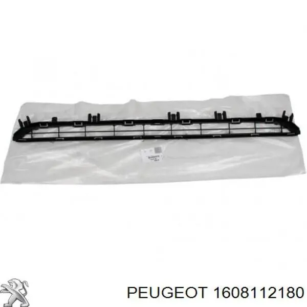 Накладка (рамка) решетки радиатора 57B12710 Polcar
