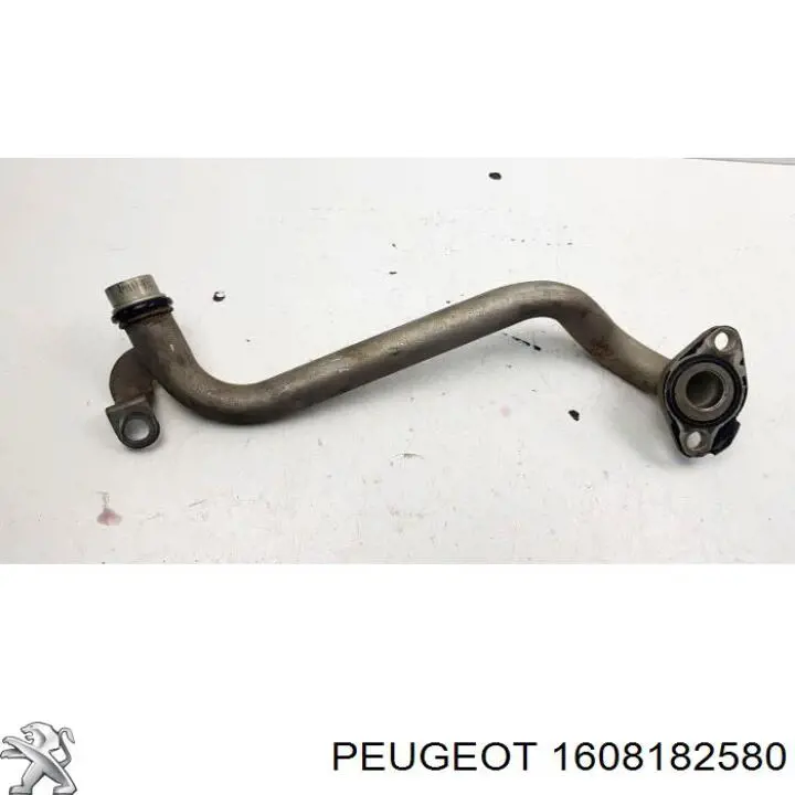  1608182580 Peugeot/Citroen
