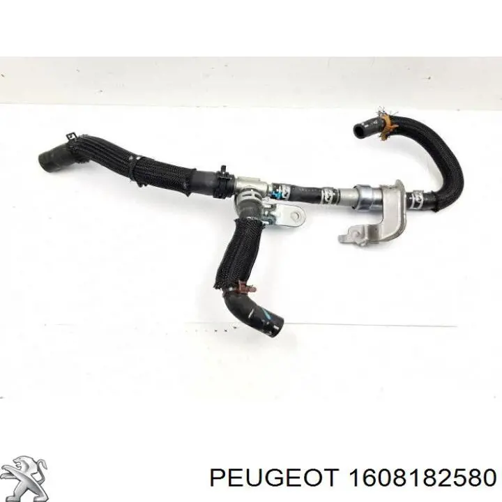  Peugeot/Citroen 1608182580