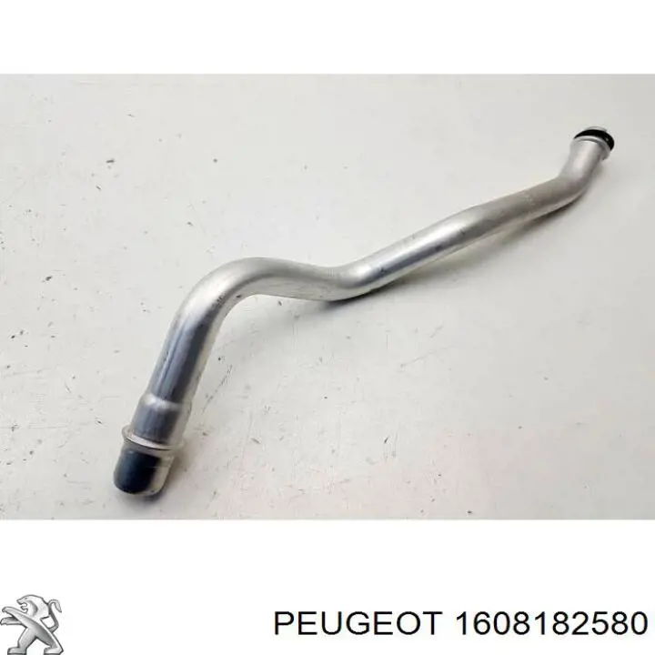 1608182580 Peugeot/Citroen 