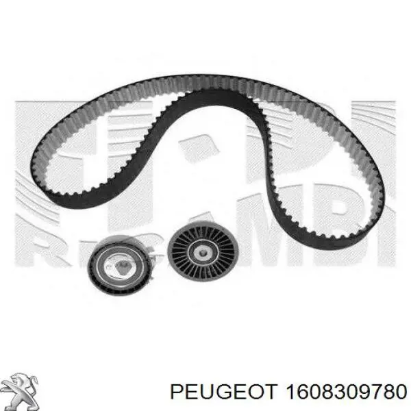 Передняя пружина 1608309780 Peugeot/Citroen