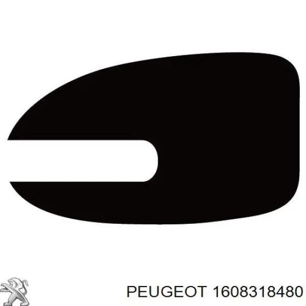 1608318480 Peugeot/Citroen