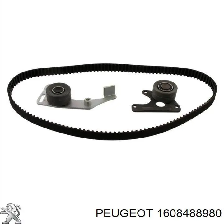 1608488980 Peugeot/Citroen 