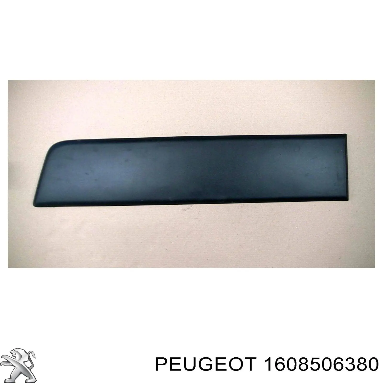 1608506380 Peugeot/Citroen 