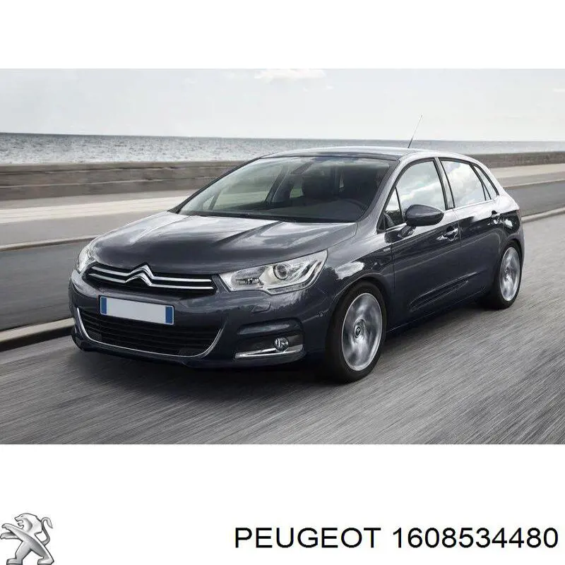 1608534480 Peugeot/Citroen зеркало заднего вида левое