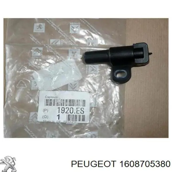  Peugeot/Citroen 1608705380