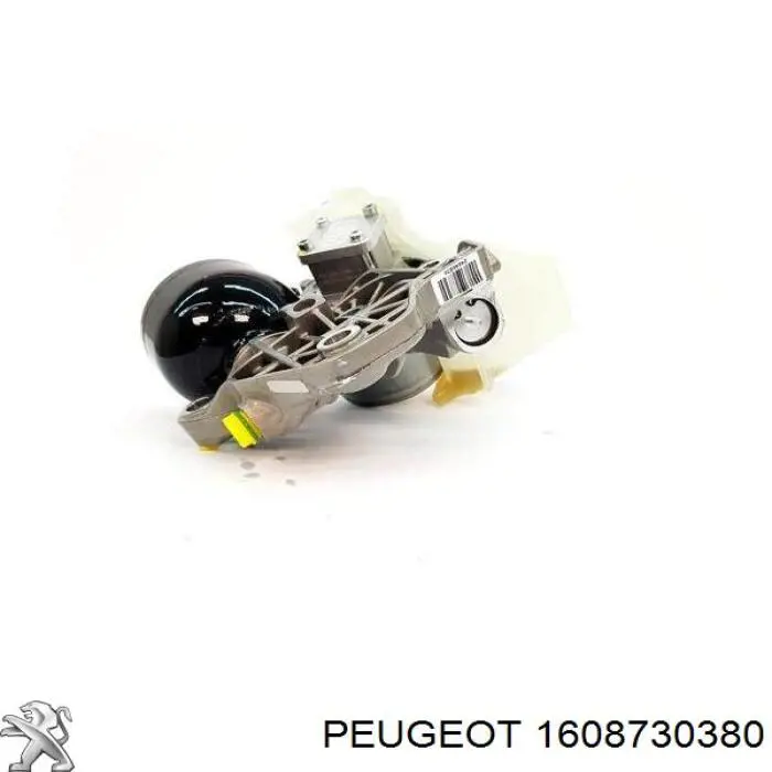 1608730380 PEUGEOT Bomba De Aceite Transmision original y equivalente