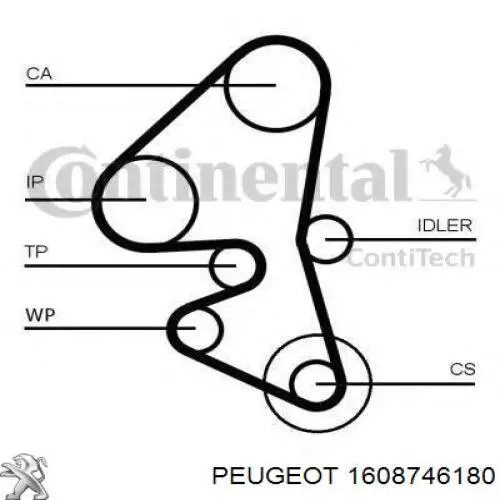 1608746180 Peugeot/Citroen ремень грм
