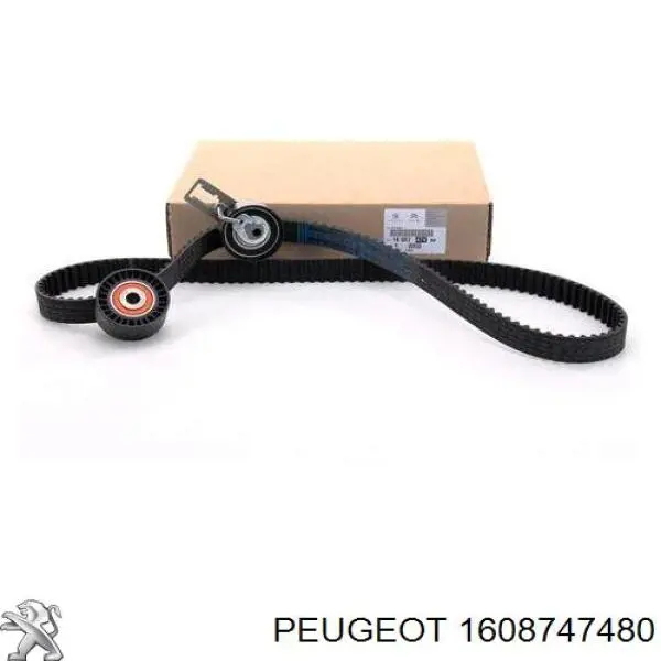 1608747480 Peugeot/Citroen correia do mecanismo de distribuição de gás, kit
