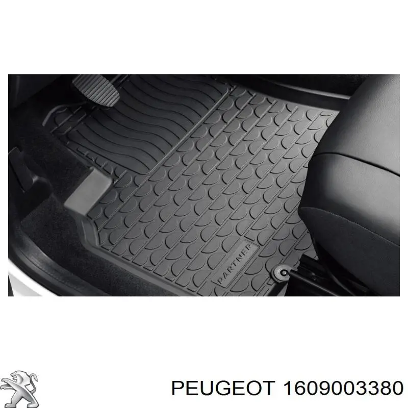 1609003380 Peugeot/Citroen 