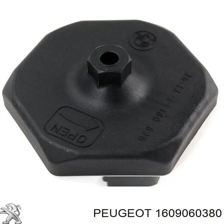  1609060380 Peugeot/Citroen