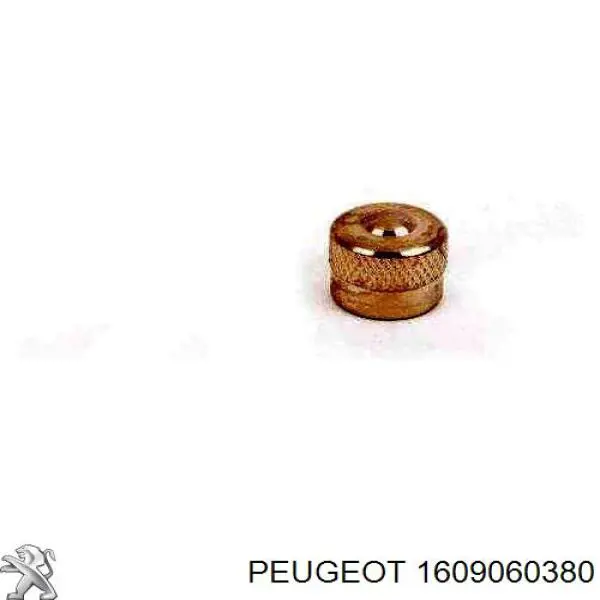 Купить 1609060380 Peugeot/Citroen 