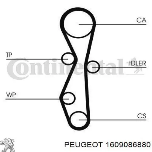 ГРМ ремни Peugeot/Citroen 1609086880