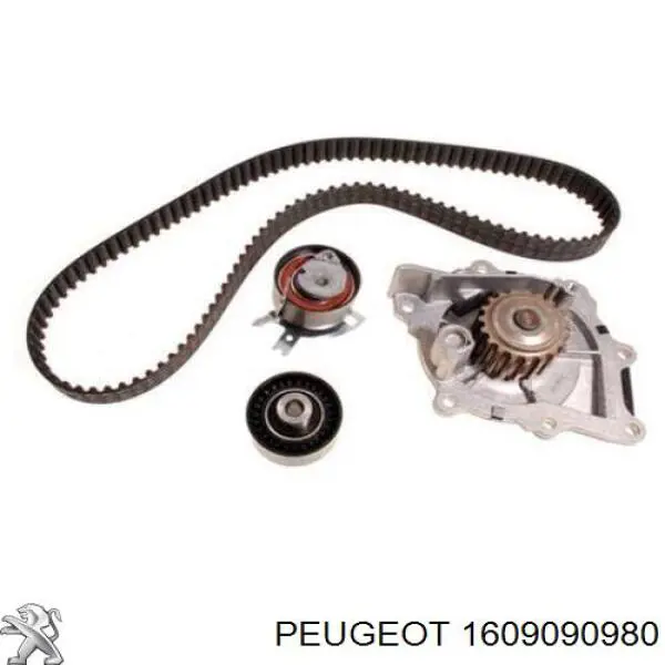 1609090980 Peugeot/Citroen ролик грм