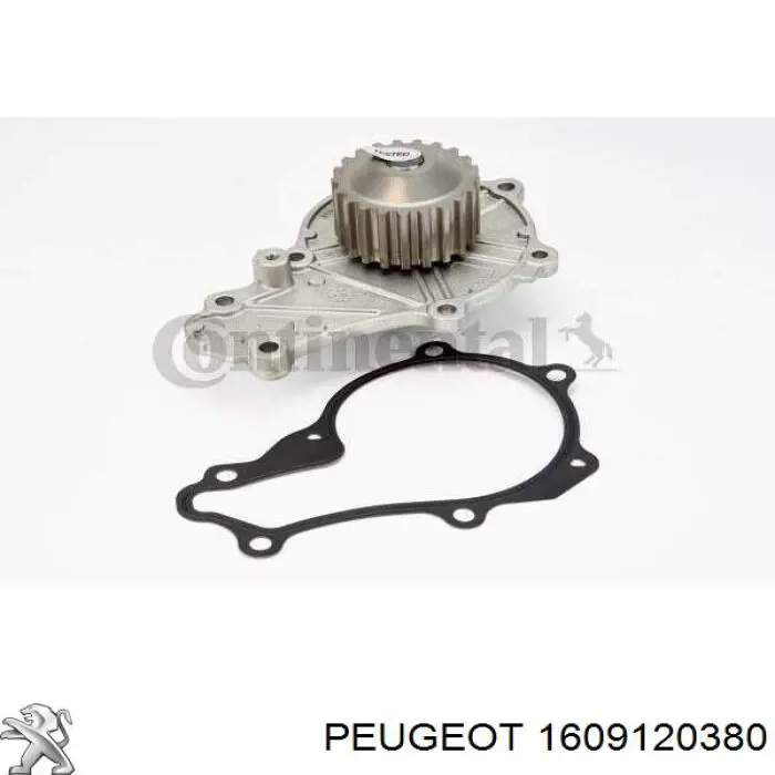 Комплект ГРМ 1609120380 Peugeot/Citroen