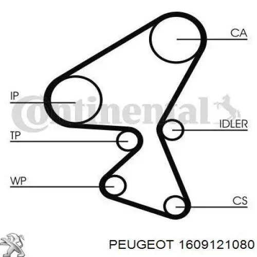 ГРМ ремни, комплект Peugeot/Citroen 1609121080 цена, от 112.61 USD