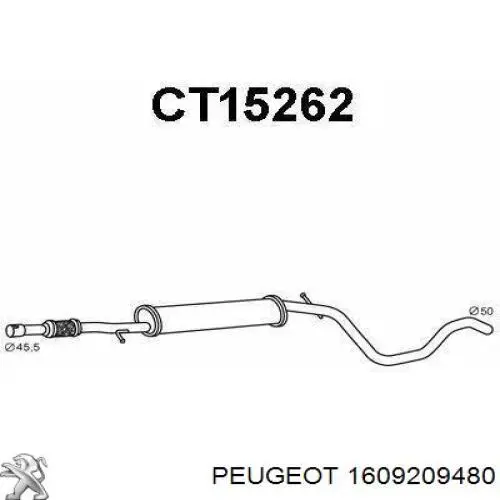  1609209480 Peugeot/Citroen