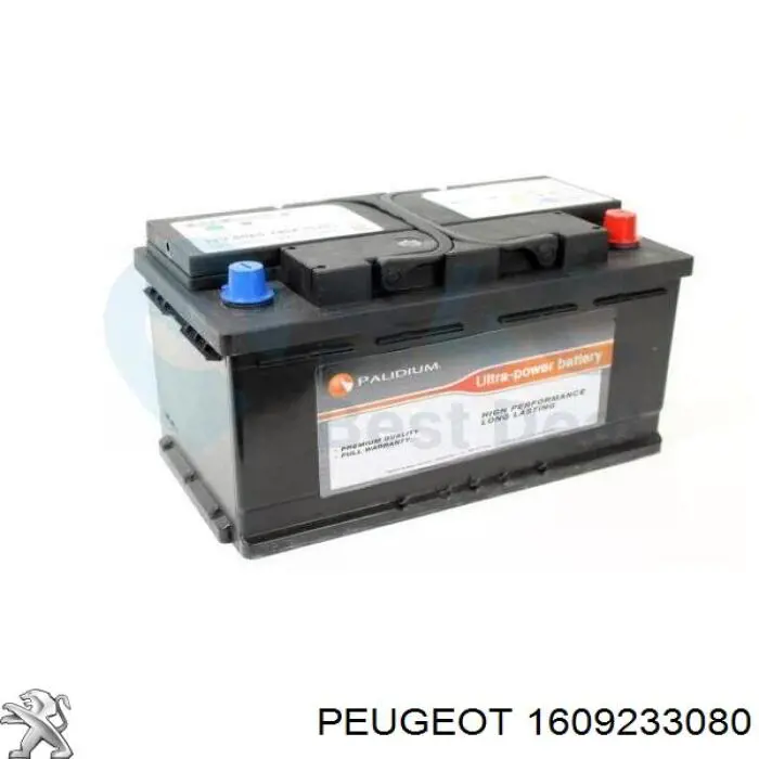1609233080 Peugeot/Citroen
