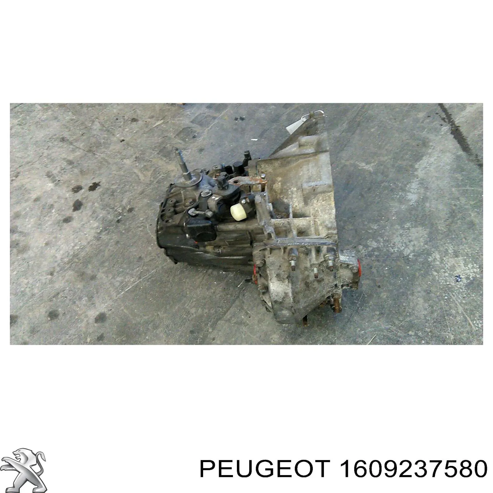 Насос ГУР 1609237580 Peugeot/Citroen