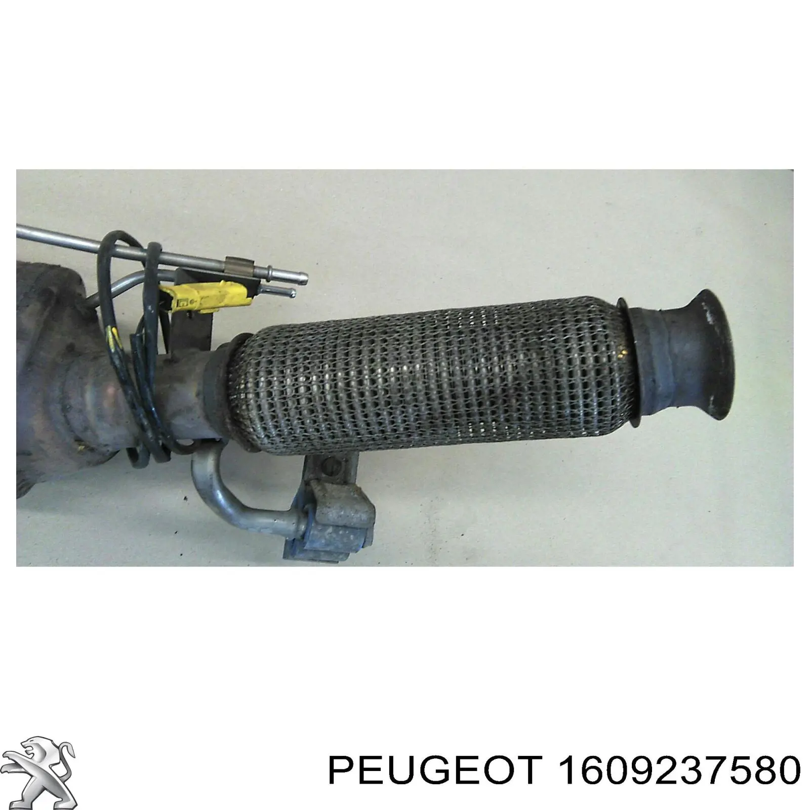 Bomba hidráulica de dirección 1609237580 Peugeot/Citroen